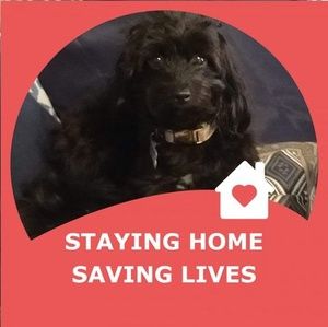 Meet your Posher, Jillian